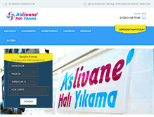 Tablet Screenshot of bursahaliyikama.org
